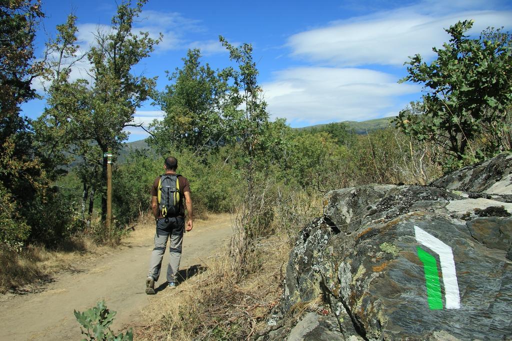 Casa Rural El Abejaruco (Adults Only) Campillo de Ranas Εξωτερικό φωτογραφία