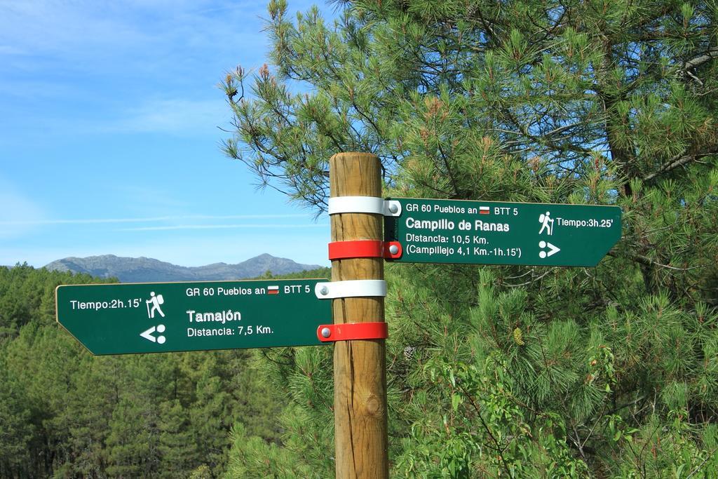 Casa Rural El Abejaruco (Adults Only) Campillo de Ranas Εξωτερικό φωτογραφία