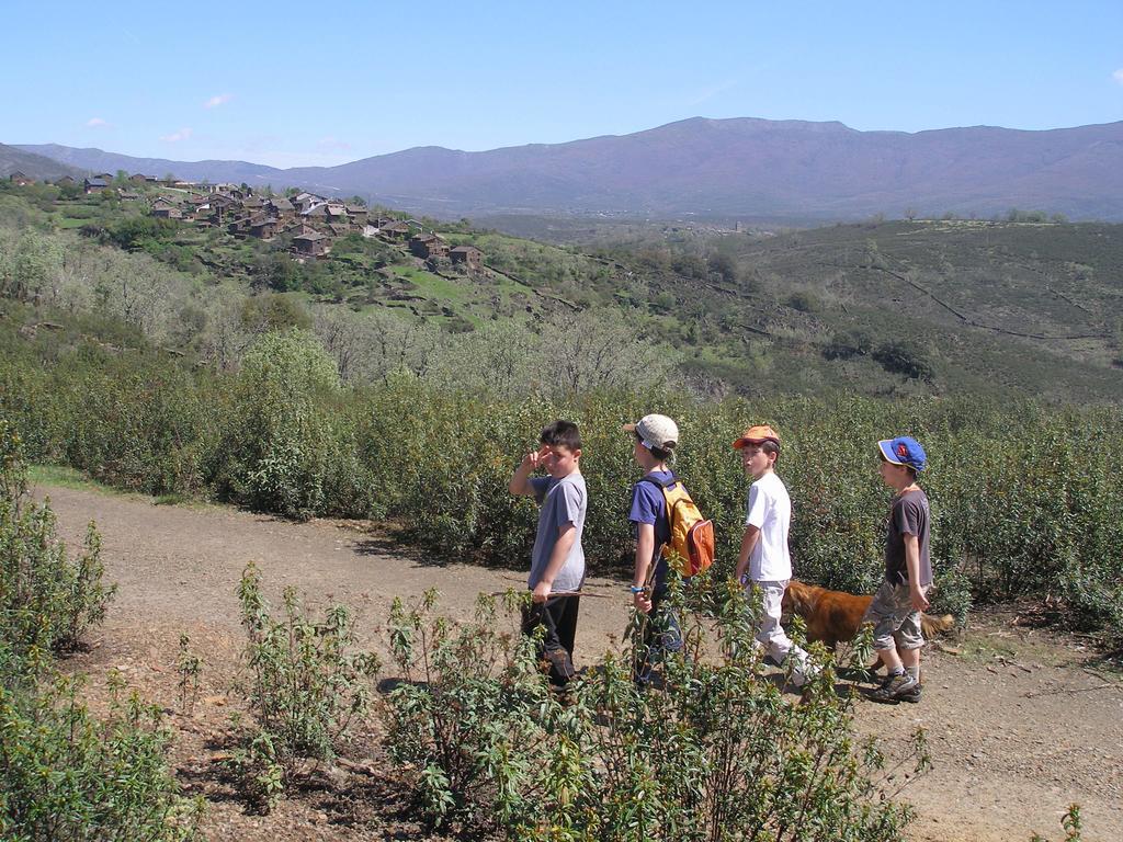 Casa Rural El Abejaruco (Adults Only) Campillo de Ranas Εξωτερικό φωτογραφία
