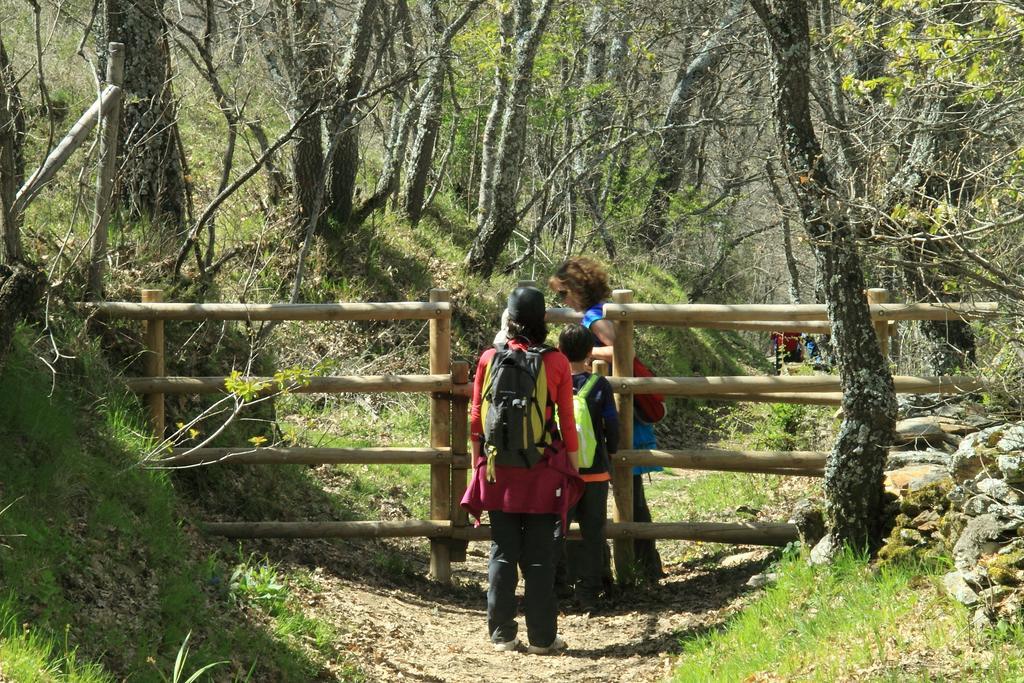 Casa Rural El Abejaruco (Adults Only) Campillo de Ranas Εξωτερικό φωτογραφία