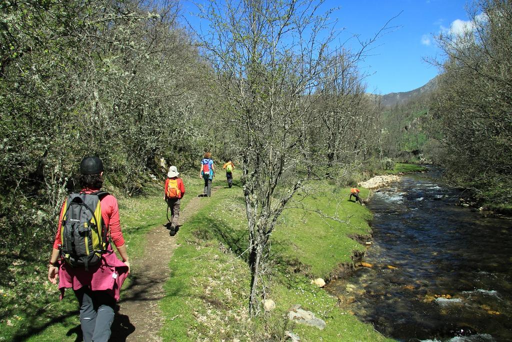 Casa Rural El Abejaruco (Adults Only) Campillo de Ranas Εξωτερικό φωτογραφία