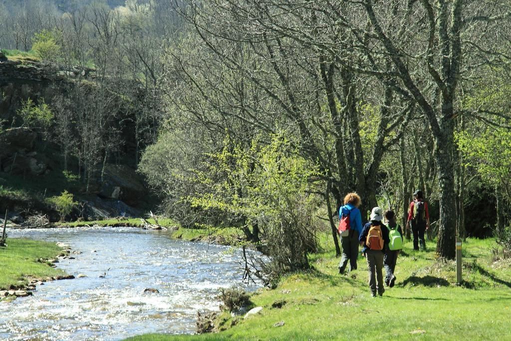 Casa Rural El Abejaruco (Adults Only) Campillo de Ranas Εξωτερικό φωτογραφία