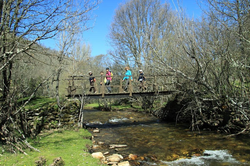 Casa Rural El Abejaruco (Adults Only) Campillo de Ranas Εξωτερικό φωτογραφία